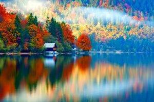 nature, Landscape, Trees, Forest, Fall, Colorful, Water, Lake, Slovenia, Mist, House, Reflection