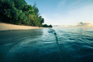 morning, Beach, Sea, Sand, Palm Trees, Water, Waves, Nature, Landscape, Trees