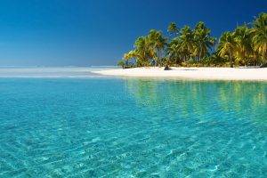 beach, Island, Nature, Landscape, Palm Trees