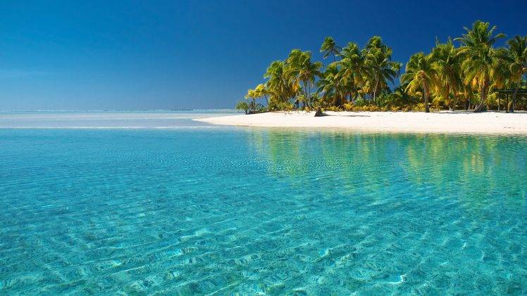beach, Island, Nature, Landscape, Palm Trees HD Wallpaper Desktop Background