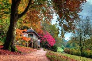 fall, Garden, Cottage, Leaves, Trees, Lawns, Shrubs, Pink, Green, Orange, Path, Moss, Nature, Landscape, Dirt Road