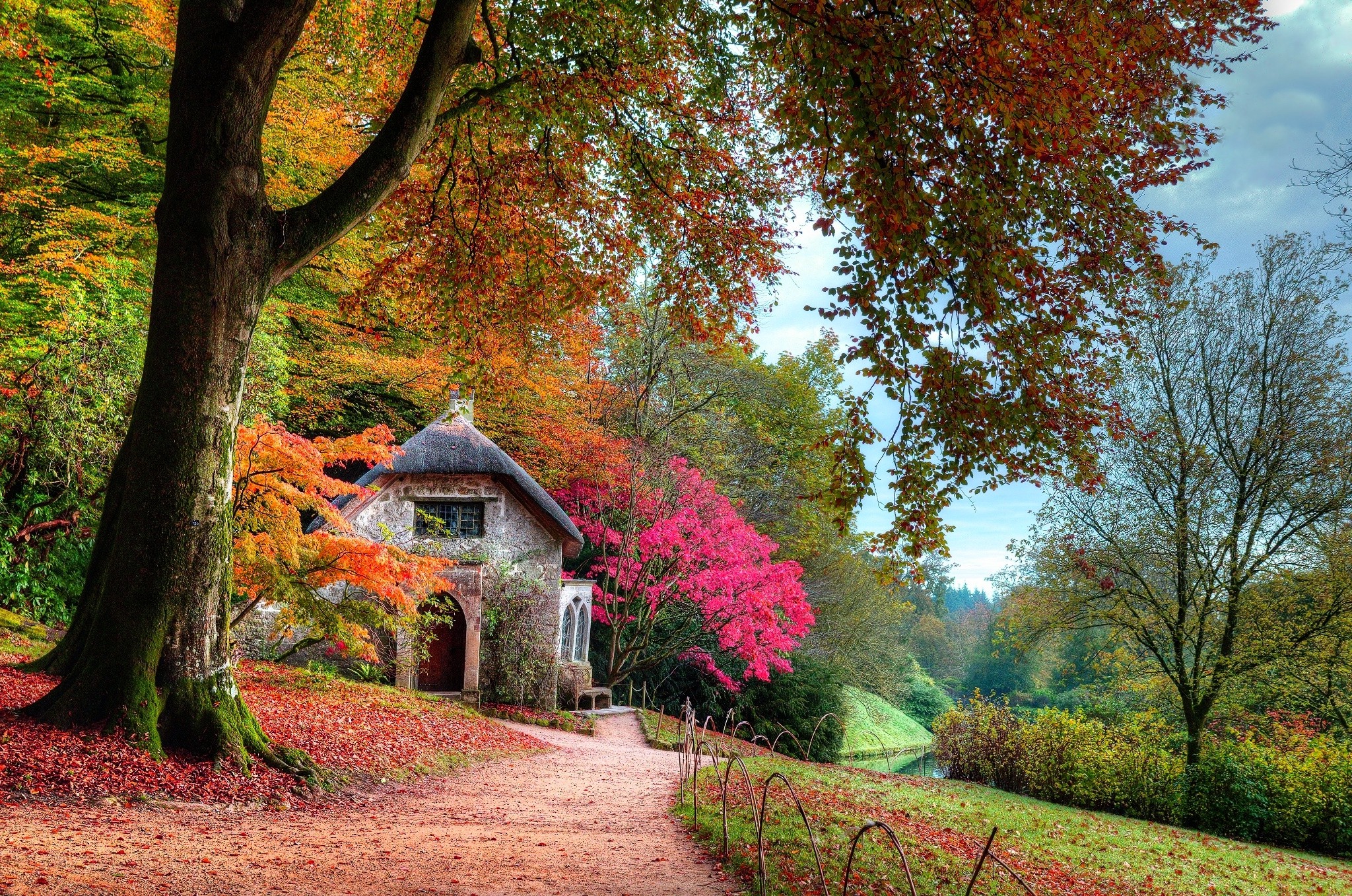 fall, Garden, Cottage, Leaves, Trees, Lawns, Shrubs, Pink, Green, Orange, Path, Moss, Nature, Landscape, Dirt Road Wallpaper