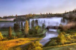 nature, Landscape, Trees, Forest, Mist, Morning, River, Bridge, Hill, Field, Sunlight, Shadow, Fall, House