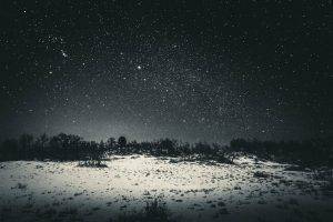 snow, Stars, Forest Clearing, Nature, Landscape, Star Trails