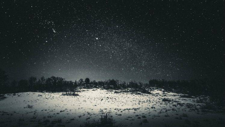 snow, Stars, Forest Clearing, Nature, Landscape, Star Trails HD Wallpaper Desktop Background