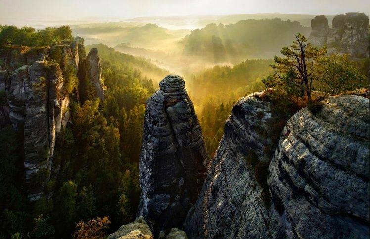 forest, Cliff, Mist, Valley, Trees, Sunrise, Sun Rays, Saxon Switzerland, Mountain, Nature, Landscape HD Wallpaper Desktop Background