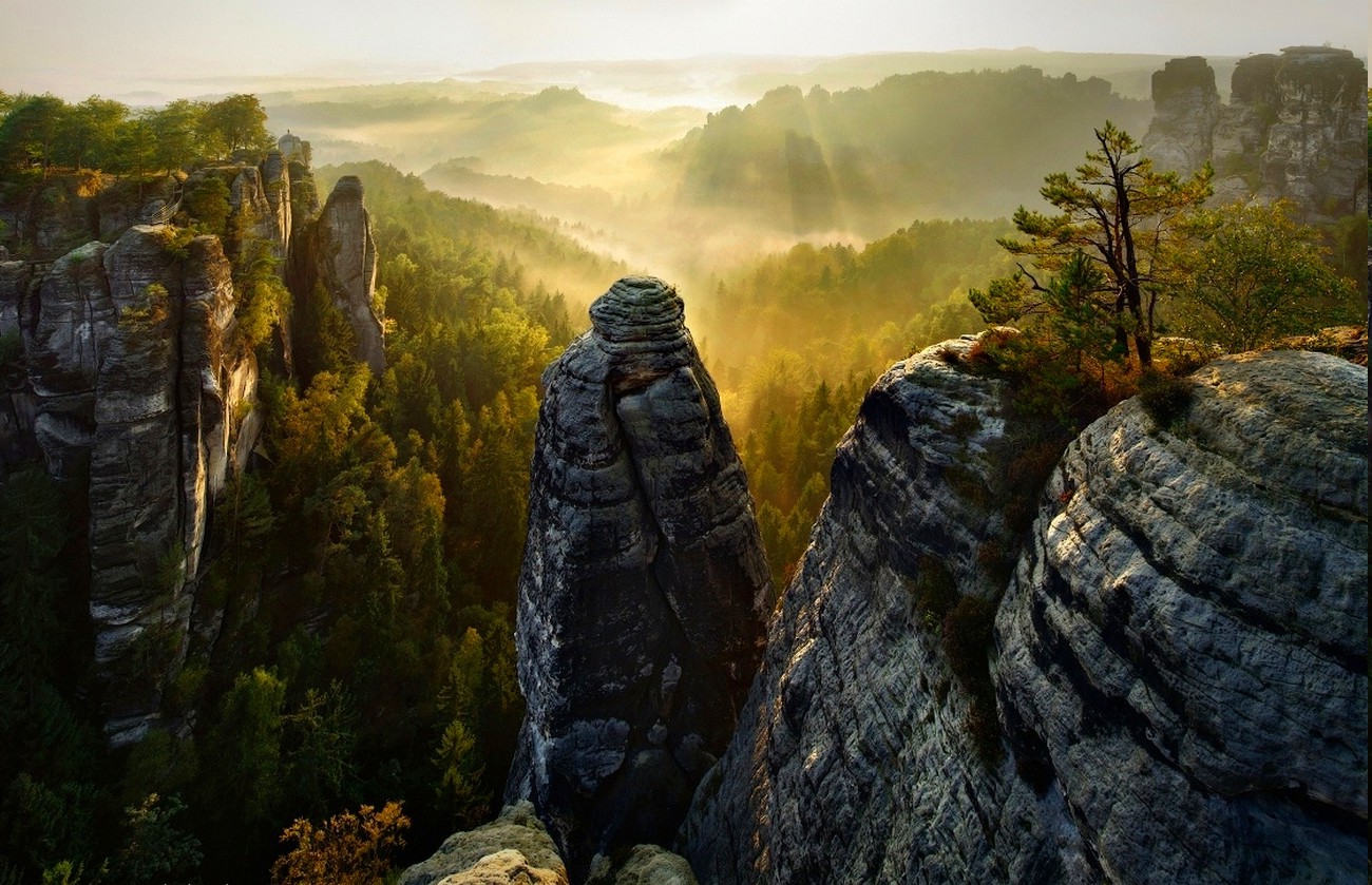 forest, Cliff, Mist, Valley, Trees, Sunrise, Sun Rays, Saxon Switzerland, Mountain, Nature, Landscape Wallpaper