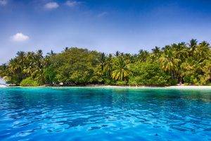 Maldives, Beach, Palm Trees, Tropical, Sea, Sand, Water, Summer, Exotic, Nature, Landscape