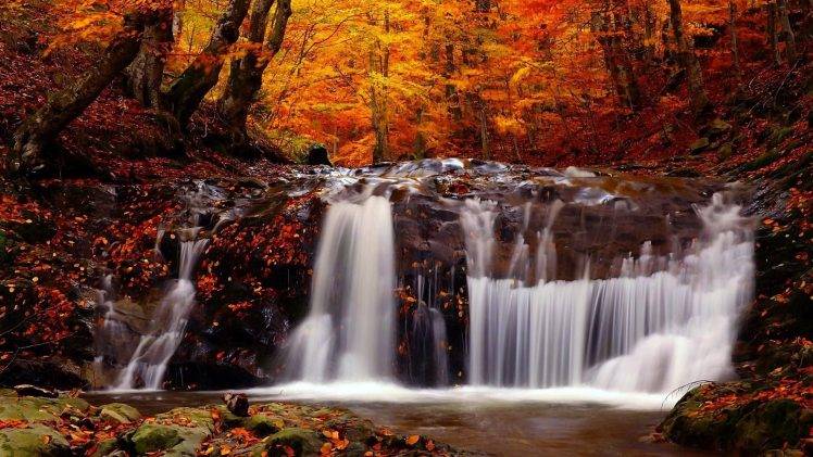 nature, Landscape, Fall, River, Trees, Waterfall HD Wallpaper Desktop Background
