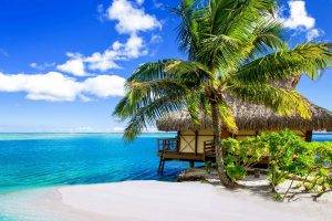 palm Trees, Beach, Sea, Clouds, Tropical, Summer, Vacations, Bora Bora, Nature, Landscape