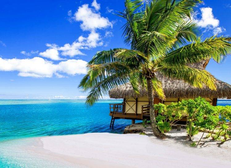palm Trees, Beach, Sea, Clouds, Tropical, Summer, Vacations, Bora Bora, Nature, Landscape HD Wallpaper Desktop Background
