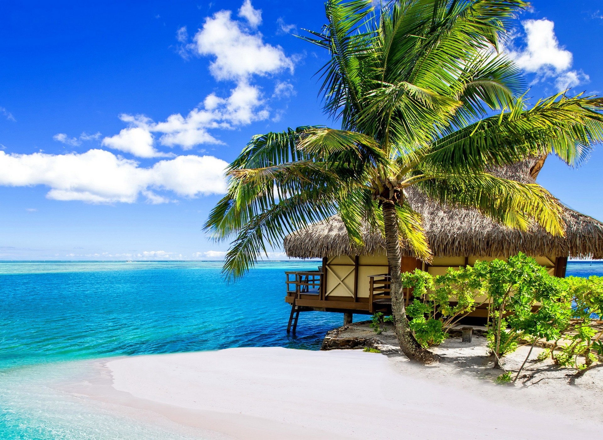 palm Trees, Beach, Sea, Clouds, Tropical, Summer, Vacations, Bora Bora, Nature, Landscape Wallpaper