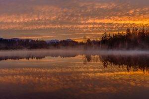 landscape, Water, Clouds, Reflection, Hill, Germany, Lake, Morning, Mist, Sunrise, Trees, Forest