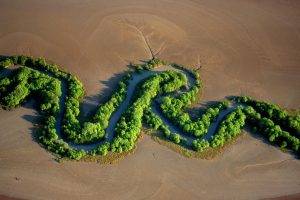 nature, Desert, Landscape, River, Trees, Aerial View, Australia, National Park