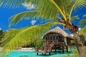 palm Trees, Resort, Beach, Tropical, Water, Bungalow, Sea, Summer, Nature, Landscape