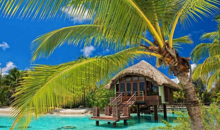 palm Trees, Resort, Beach, Tropical, Water, Bungalow, Sea, Summer, Nature, Landscape HD Wallpaper Desktop Background