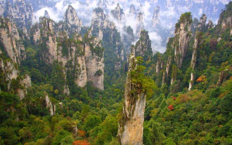 Wulingyuan National Park, China, Forest, Mountain, Clouds, Limestone, Cliff, Trees, Green, Nature, Landscape HD Wallpaper Desktop Background