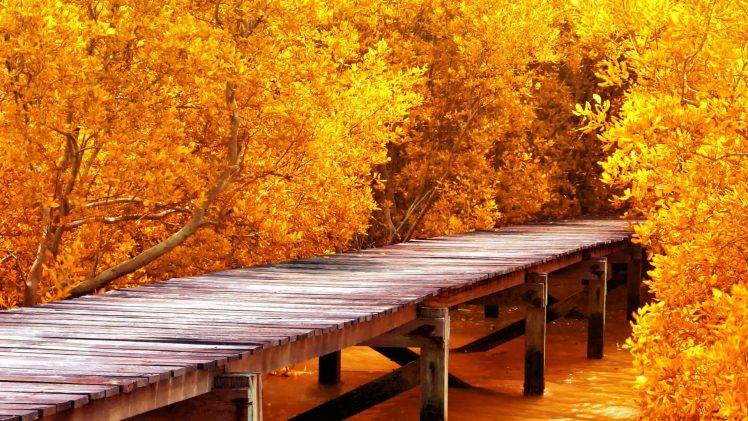 nature, Landscape, Pier, Water, Wooden Surface, Trees, Yellow, Leaves, Fall, Branch HD Wallpaper Desktop Background