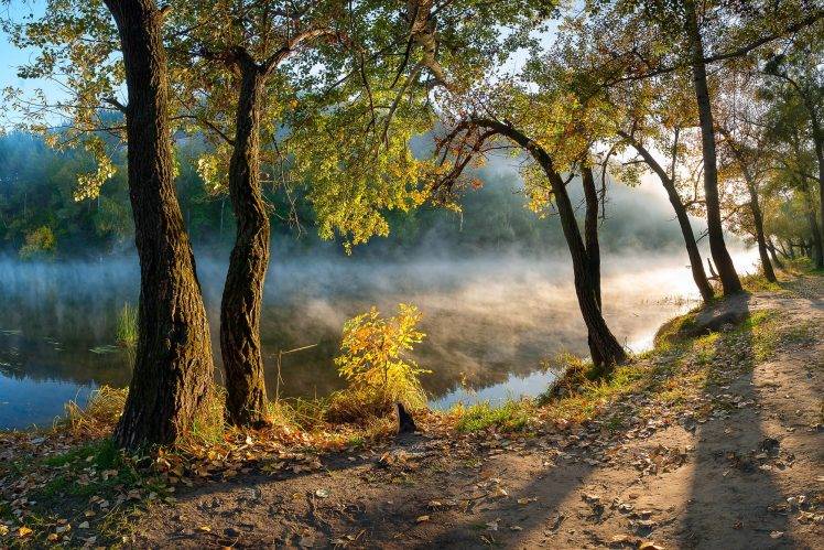 sunrise, Leaves, River, Mist, Morning, Forest, Path, Water, Nature, Landscape HD Wallpaper Desktop Background