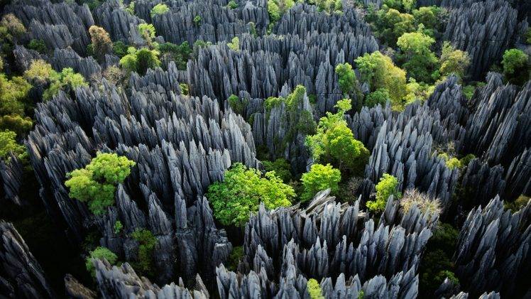 stones, Madagascar, Trees, Erosion, Tropical, Nature, Landscape, Limestone HD Wallpaper Desktop Background