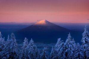 volcano, Oregon, Sunset, Forest, Snow, Mountain, Trees, Snowy Peak, Nature, Winter, Landscape