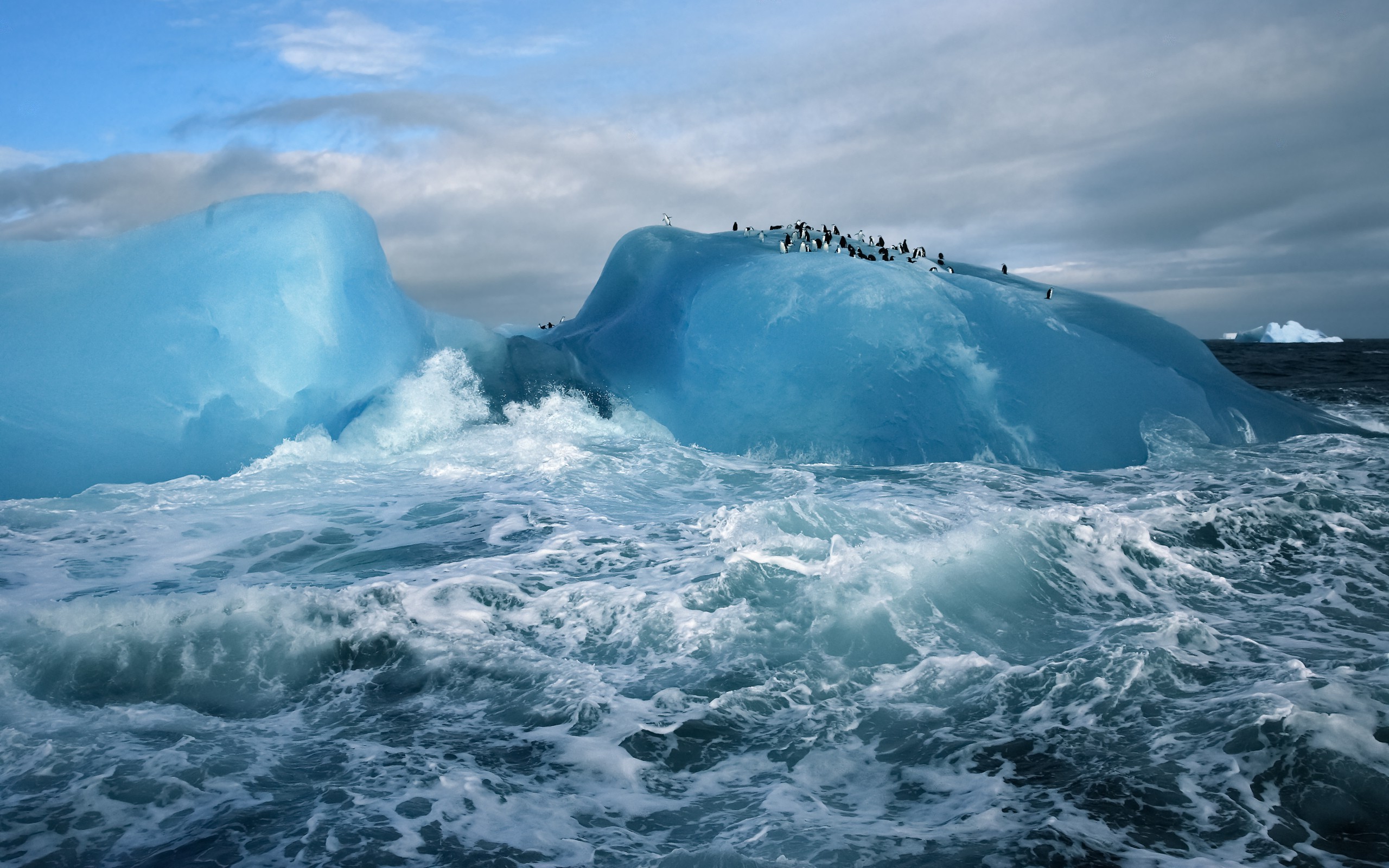 nature, Landscape, Sea, Waves, Antarctica, Iceberg, Glaciers, Animals, Penguins, Snow Wallpaper
