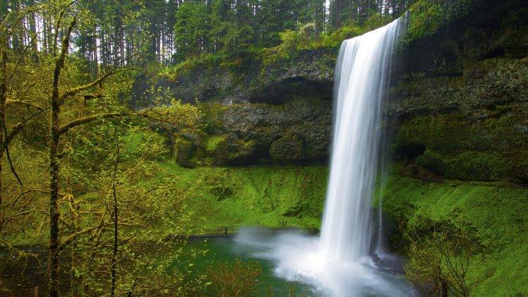 nature, Landscape, Waterfall, Long Exposure, Forest, Trees HD Wallpaper Desktop Background
