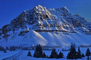mountain, Nature, Landscape, Trees, Snow