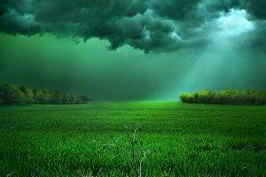 clouds, Field, Sunlight, Storm, Grass, Shrubs, Green, Landscape, Nature
