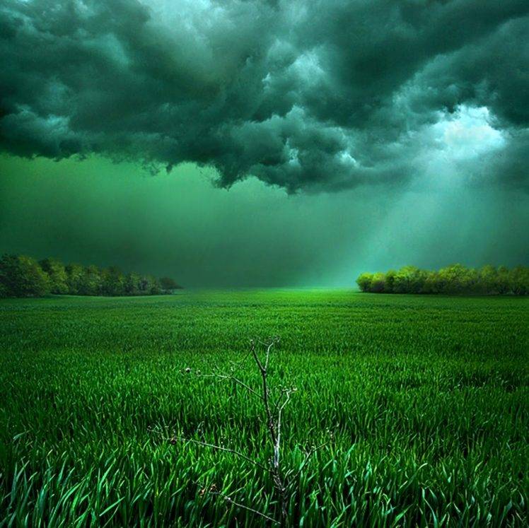 clouds, Field, Sunlight, Storm, Grass, Shrubs, Green, Landscape, Nature HD Wallpaper Desktop Background