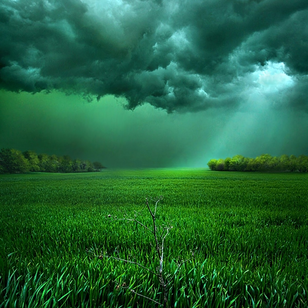 clouds, Field, Sunlight, Storm, Grass, Shrubs, Green, Landscape, Nature Wallpaper