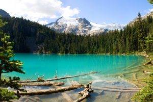 British Columbia, Canada, Lake, Forest, Mountain, Turquoise, Water, Snowy Peak, Nature, Landscape