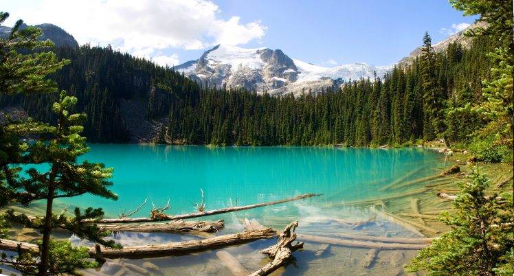 British Columbia, Canada, Lake, Forest, Mountain, Turquoise, Water, Snowy Peak, Nature, Landscape HD Wallpaper Desktop Background