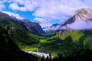 mountain, Forest, Valley, Green, Clouds, Nature, Landscape