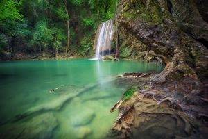 waterfall, Forest, Roots, Thailand, Tropical, Trees, Green, Nature, Landscape