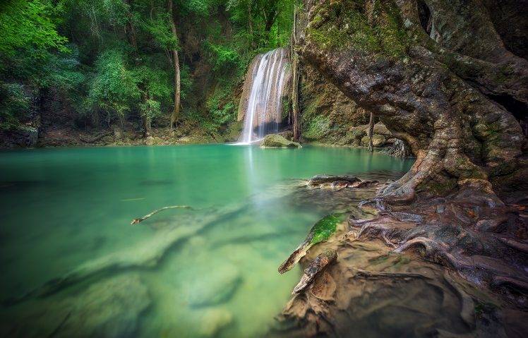 waterfall, Forest, Roots, Thailand, Tropical, Trees, Green, Nature, Landscape HD Wallpaper Desktop Background