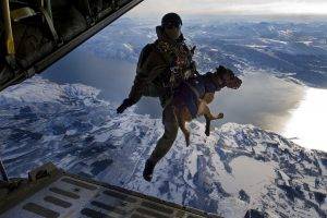 dog, Soldier, Landscape, Lake, Mountain, Airplane