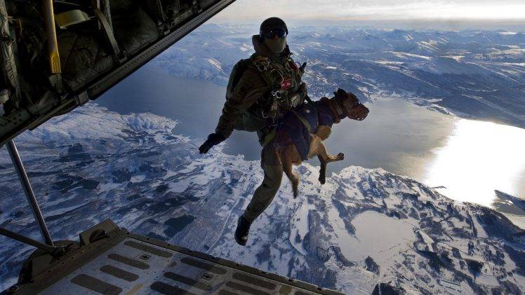dog, Soldier, Landscape, Lake, Mountain, Airplane HD Wallpaper Desktop Background