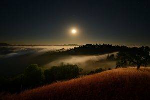 moon, Moonlight, Starry Night, Mist, Hill, Clouds, Trees, Grass, Valley, Nature, Landscape
