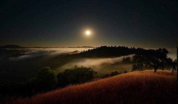 moon, Moonlight, Starry Night, Mist, Hill, Clouds, Trees, Grass, Valley, Nature, Landscape HD Wallpaper Desktop Background