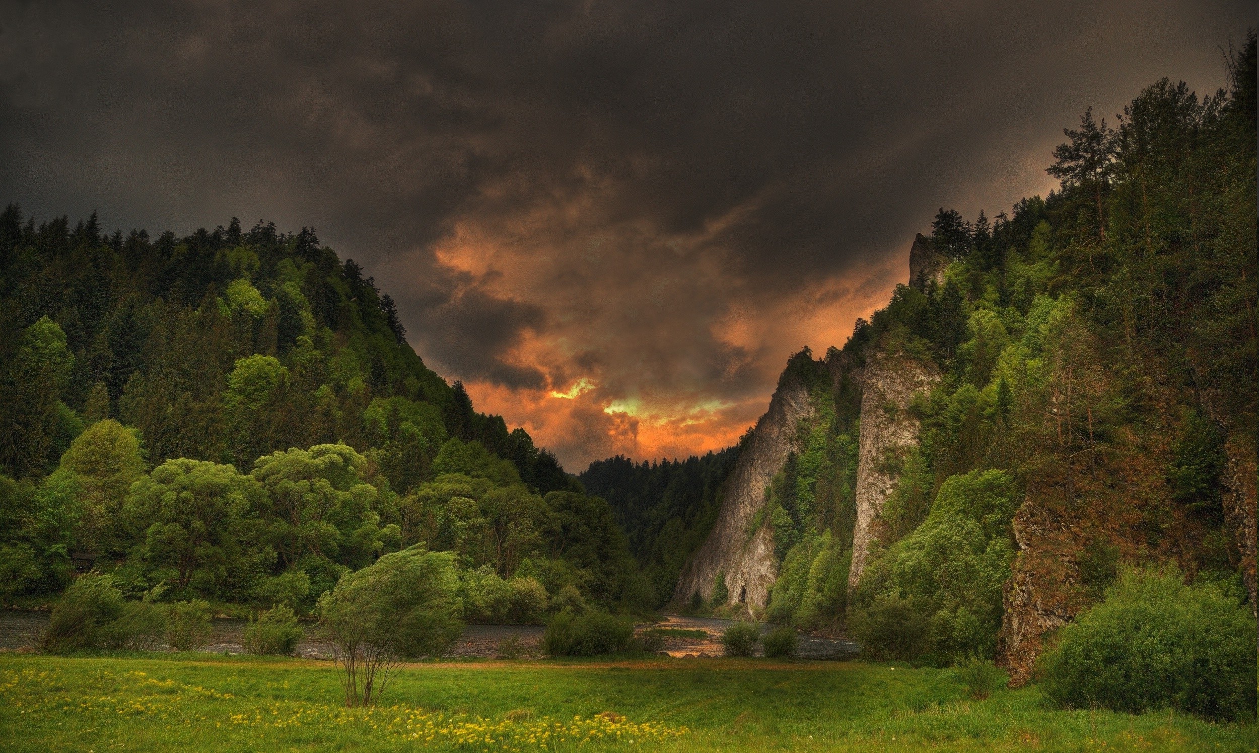 spring, River, Storm, Clouds, Forest, Hill, Trees, Grass, Wildflowers