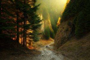 canyon, Path, Forest, Sunlight, Mountain, Nature, Sunset, Landscape, Dirt Road
