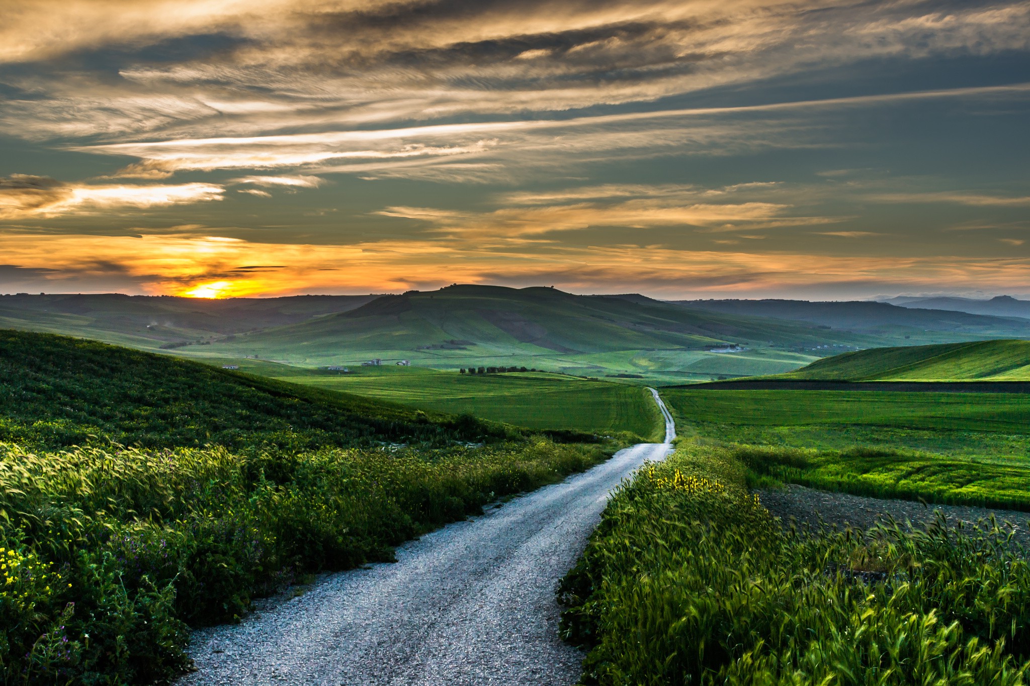road, Sunset, Field, Italy, Clouds, Grass, Mountain, Wildflowers, Green, Landscape, Nature Wallpaper