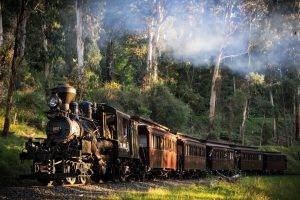 landscape, Train, Railway, Nature, Steam Locomotive, Australia, Trees, Forest, Smoke, Grass, Sunlight