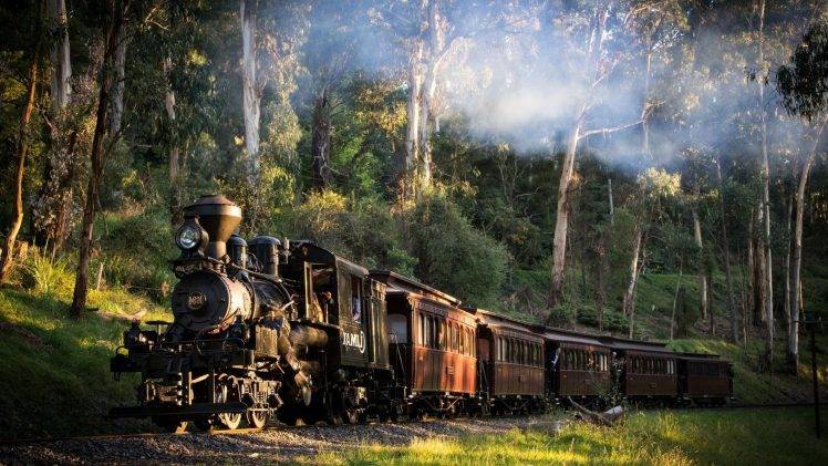 landscape, Train, Railway, Nature, Steam Locomotive, Australia, Trees, Forest, Smoke, Grass, Sunlight HD Wallpaper Desktop Background