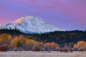 mountain, Fall, Washington State, Forest, Snowy Peak, Grass, Sunrise, Nature, Landscape, Yellow, Purple, White