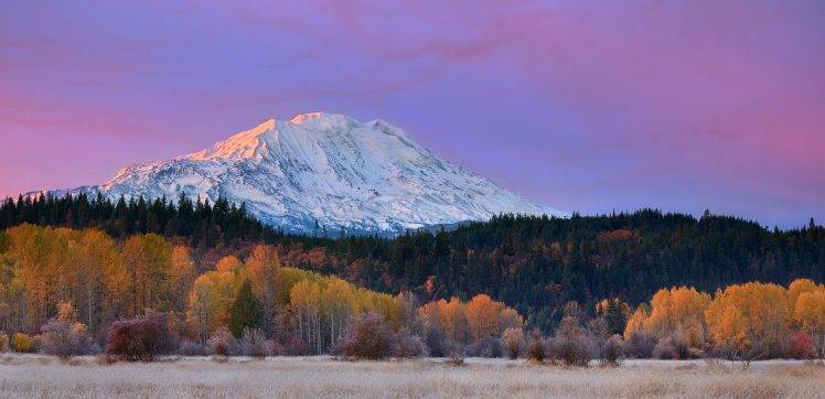 mountain, Fall, Washington State, Forest, Snowy Peak, Grass, Sunrise, Nature, Landscape, Yellow, Purple, White HD Wallpaper Desktop Background