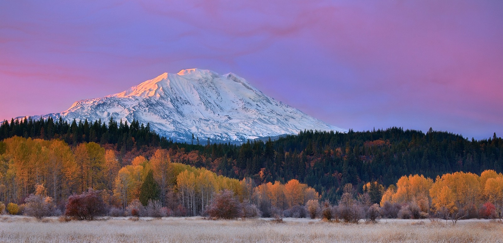 mountain, Fall, Washington State, Forest, Snowy Peak, Grass, Sunrise, Nature, Landscape, Yellow, Purple, White Wallpaper