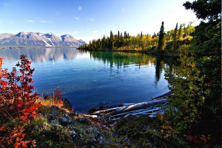 lake, Mountain, Fall, Morning, Forest, Shrubs, Water, Leaves, British Columbia, Nature, Landscape HD Wallpaper Desktop Background