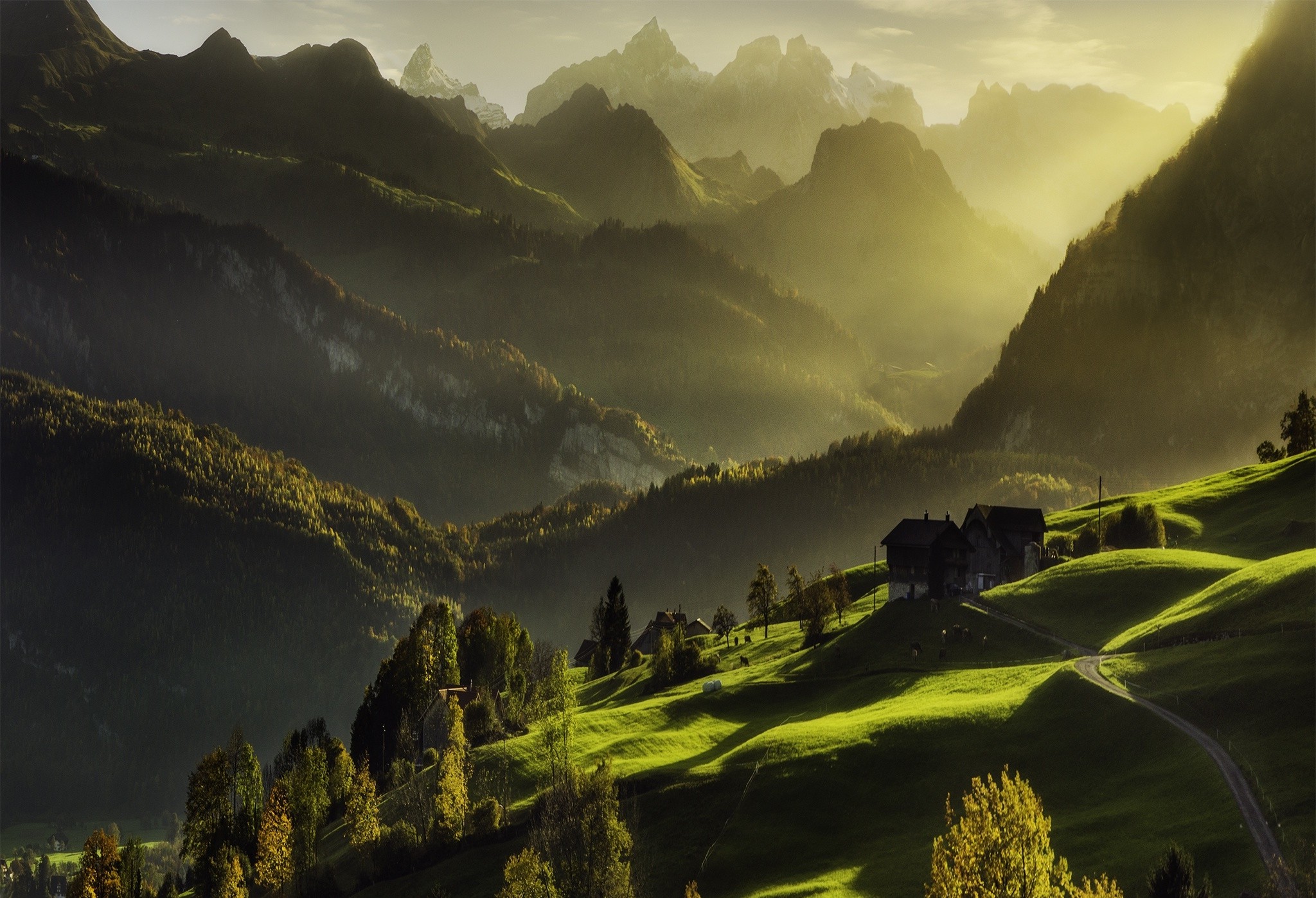Switzerland, Sunrise, Mountain, Mist, Forest, Road, Grass, Green, Fall, Cabin, Alps, Landscape, Nature, Valley Wallpaper